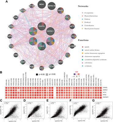 Frontiers Comprehensive Bioinformatics Analysis Reveals The